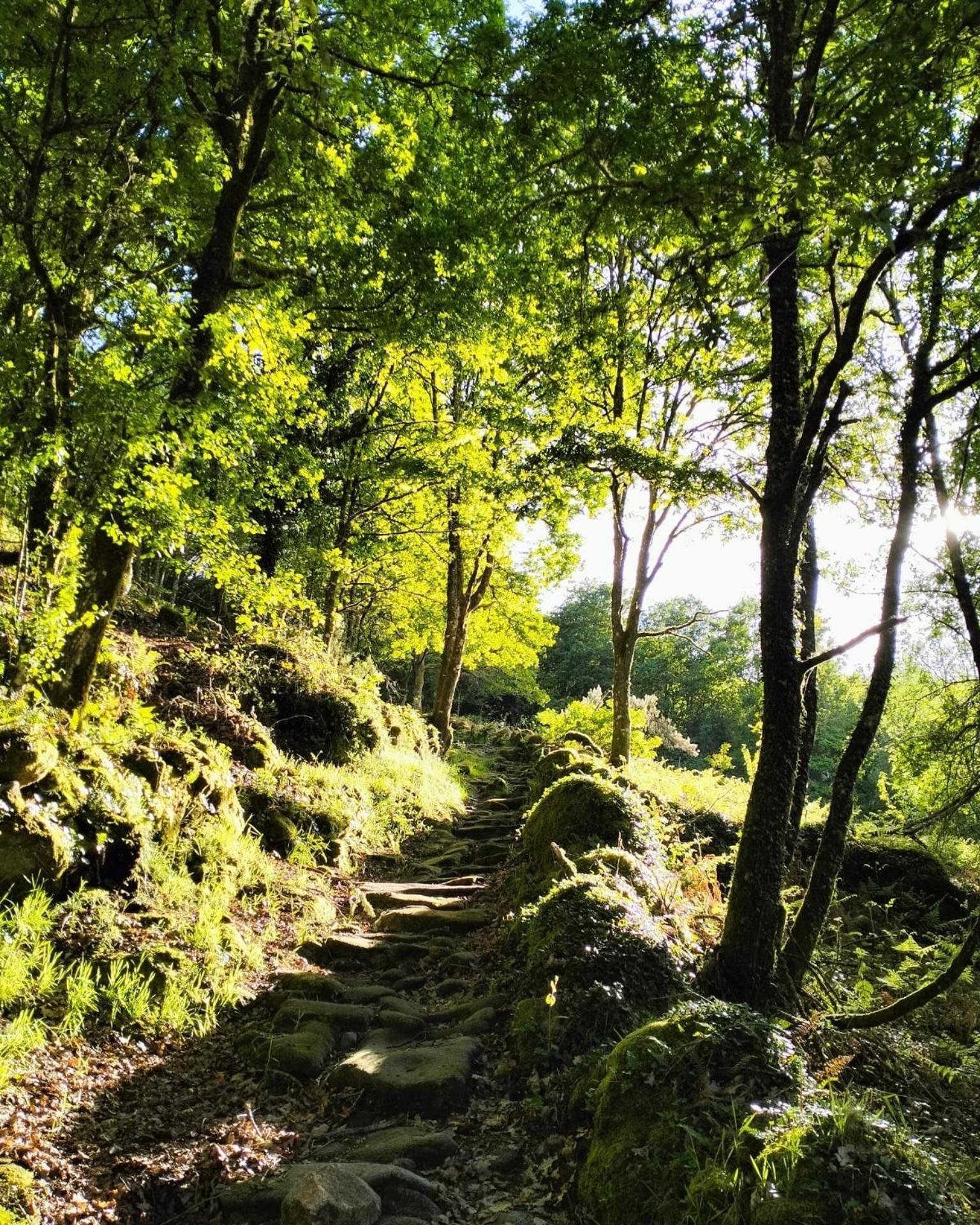 Hébergement de vacances A Calma Paradela (Lugo)